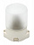Светильник влагозащищенный ЗАВОД ЭЛЕТЕХ (60 Вт Е27, прямой, белый, НПБ400 01-60-001)